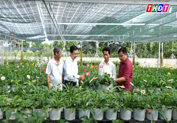 Góp vốn để trồng và tiêu thụ hoa