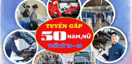 THÔNG BÁO  Tuyển gấp 50 nam, nữ đi làm việc thời vụ ngắn hạn tại Nhật Bản  hợp đồng 01 năm 